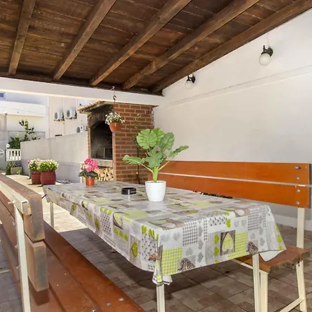 Daire Alaga B Tribalj